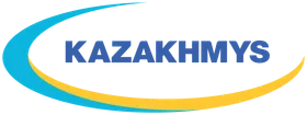 Партнёр 1